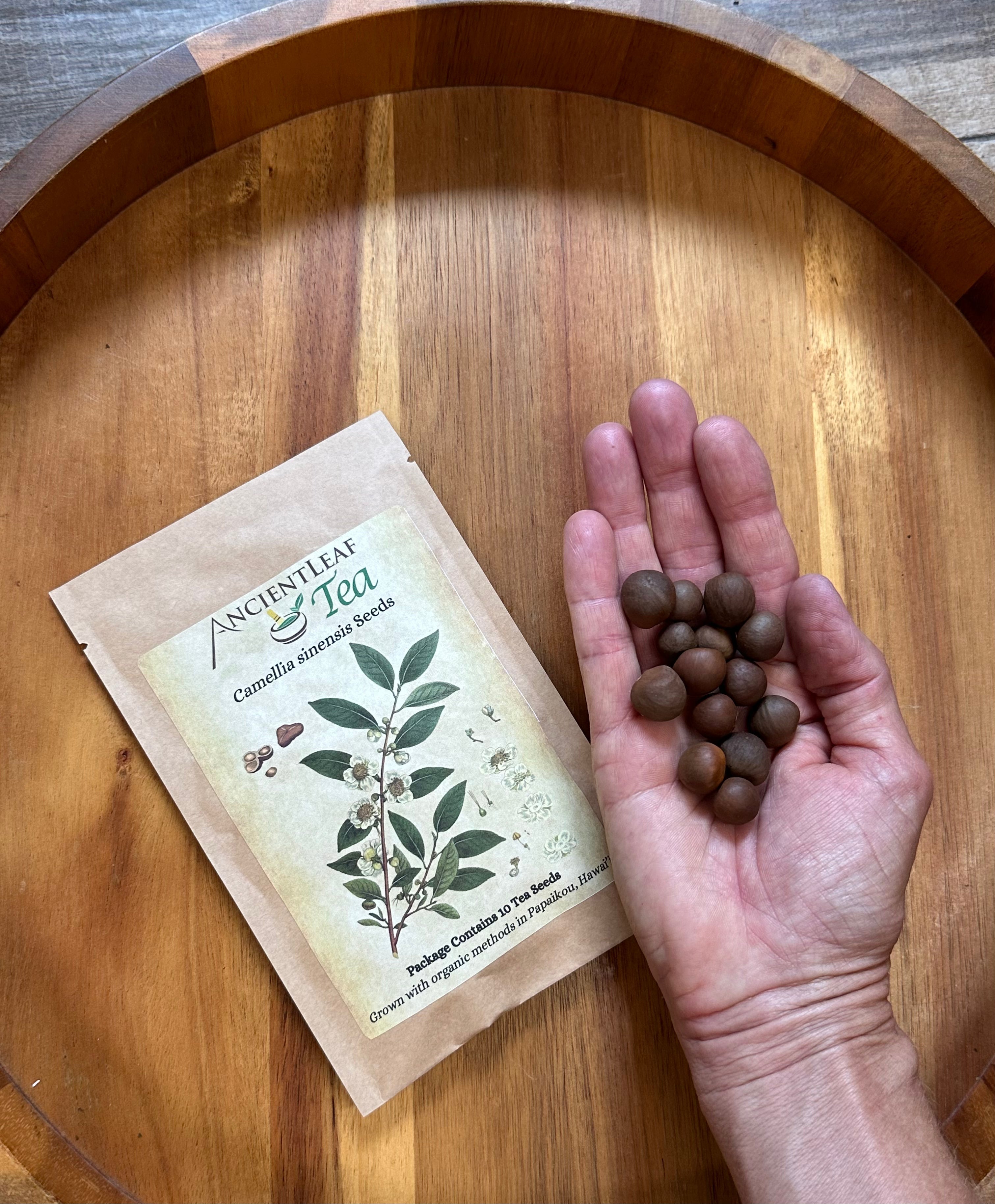 Plants & Seeds