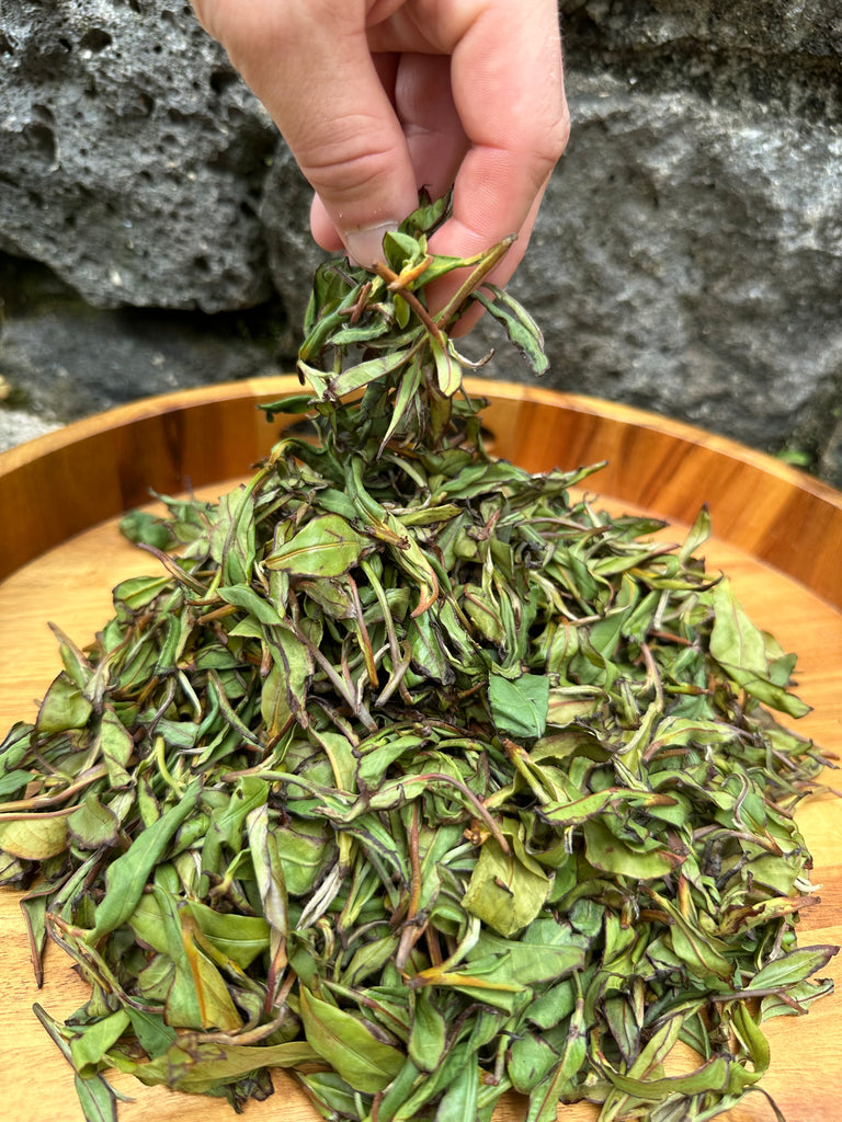 Onomea Bay Oolong (Owners' Reserve)